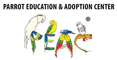 Parrot Education and Adoption Center.jpgP