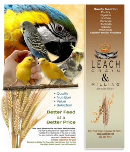 Grain and Milling Pet Bird Mixes