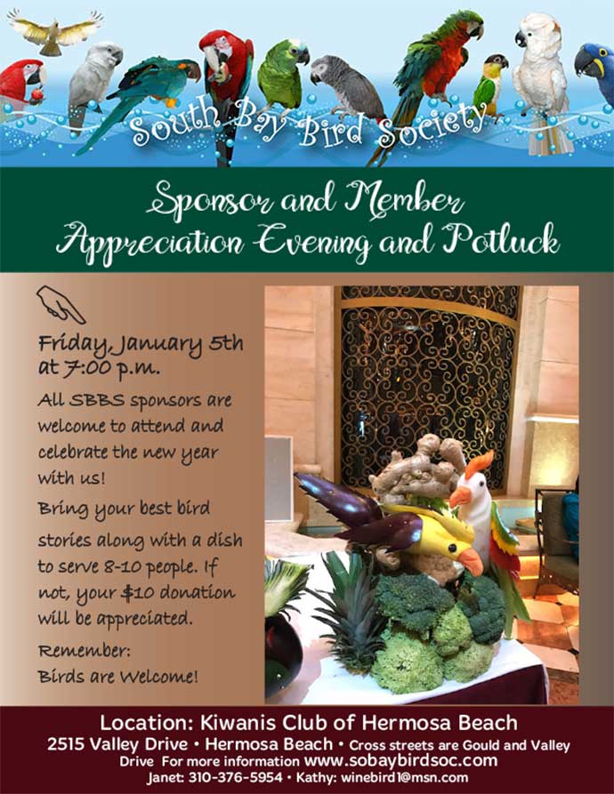 SBBS January 2018 Flyer - Sponsor and Member