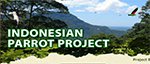Indonesian Parrot Project